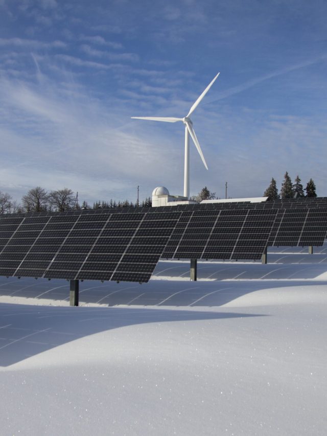 Green Economy: cos’è e cosa cambia per le aziende?